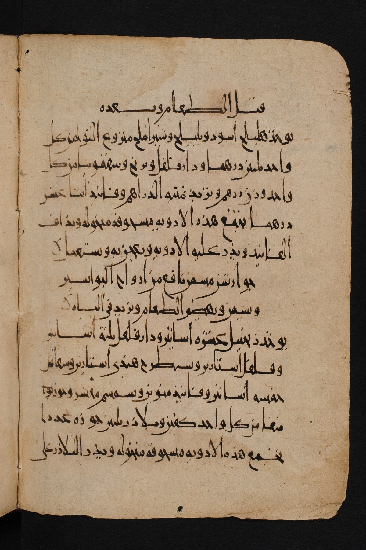 [Translate to English:] Apothekerbuch des Sabur Ibn-Sahl, Anfang 10. Jh.