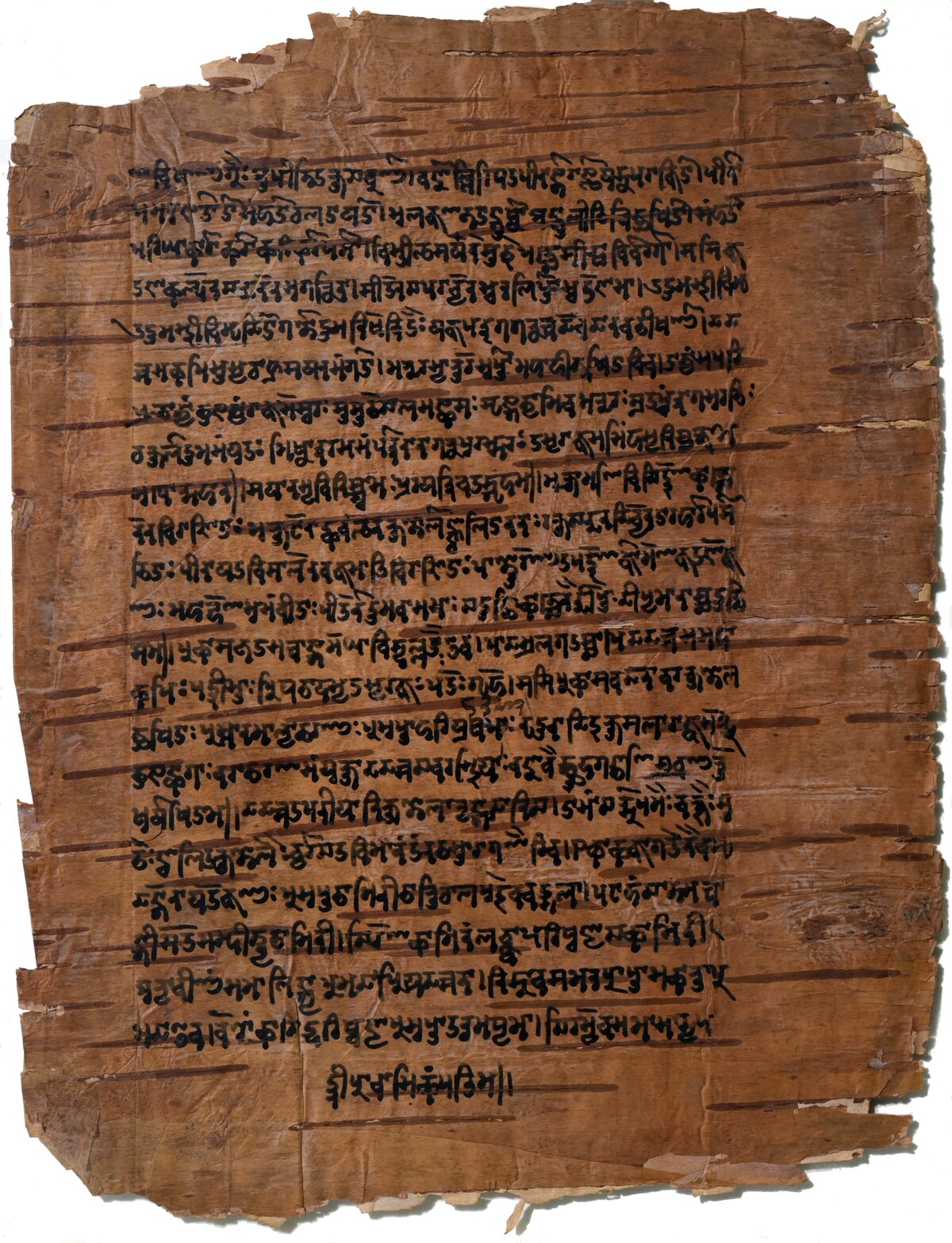 Rāmāyaṇa, Sundarakāṇḍa (unvollständig). ca. 17. Jh. Sanskrit in Śāradā-Schrift auf Birkenrinde, wahrscheinlich aus Kaschmir. Blatt [5r], Ms. or. quart. 1162 
