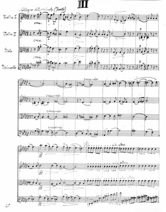 Klaus Fischer-Dieskau: 1. Streichquartett d-Moll op. 16, 3. Satz (55 Nachl 118/A,15)