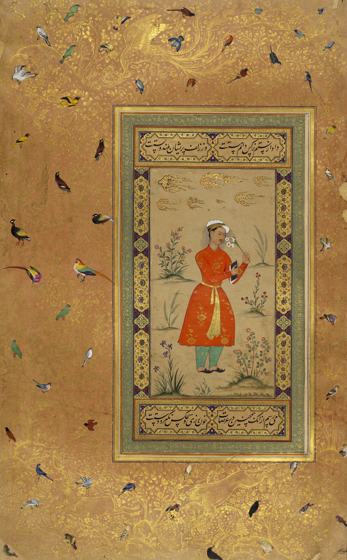 Jahangir-Album, Junger Mann, 005v