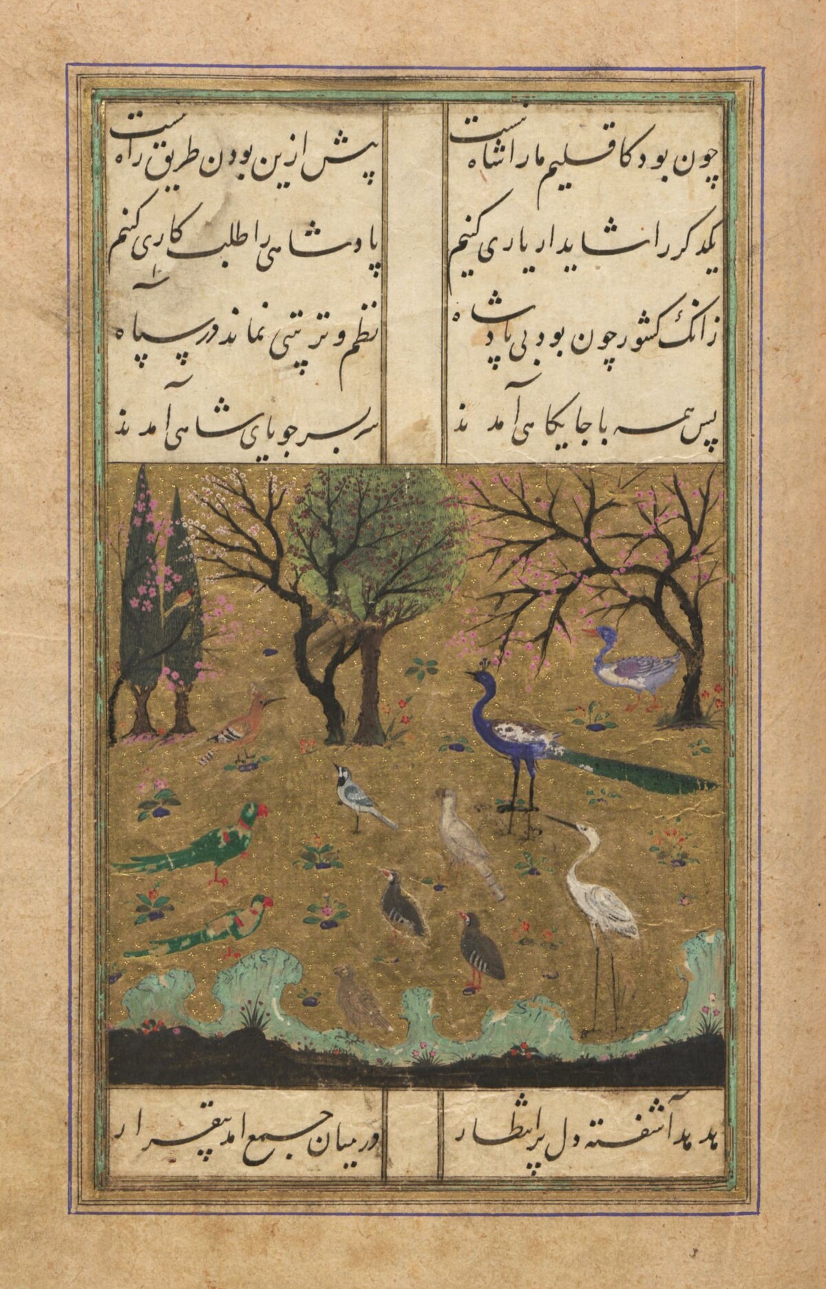 Ms. or. oct. 268, 27r, Manṭiq aṭ-ṭair des Farīd ad-Dīn ʿAṭṭār. Herat, mid-15th century, The Assembly of Birds