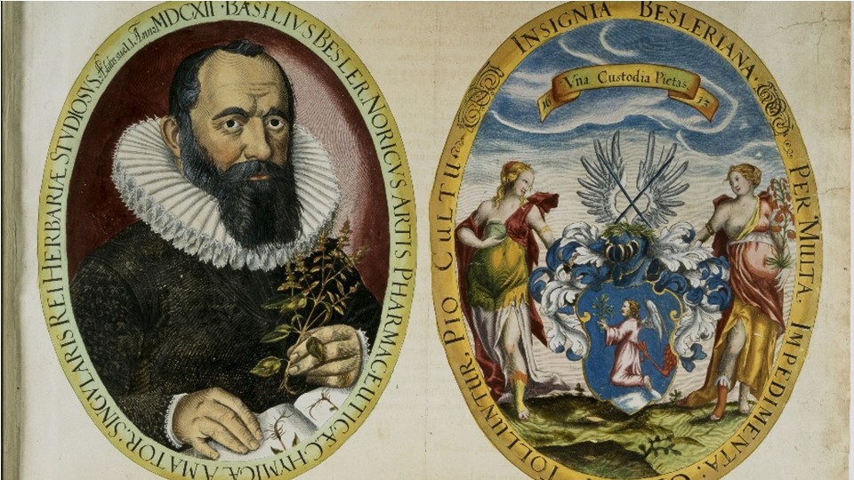 Beispiele aus der Rara-Sammlung - Hortus Eystettensis. 1613