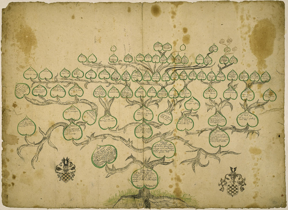 Bild zeigt: Stammbaum der Familie Bach (Mus.ms.theor. 1046)